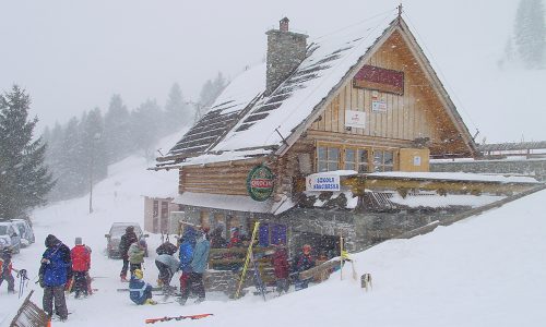 polana sosny stok narciarski