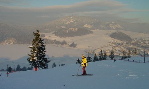 polana sosny stok narciarski