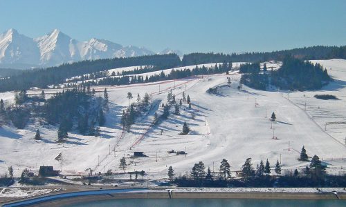 polana sosny stok narciarski