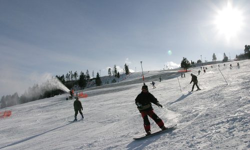 polana sosny stok narciarski