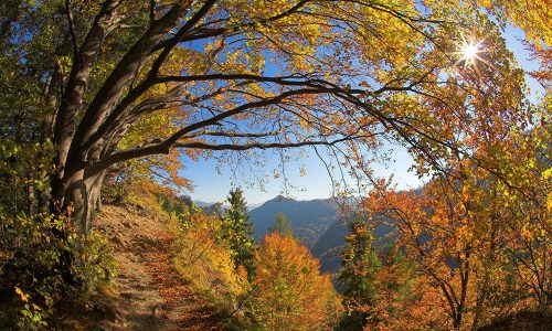 pieniny niedzica noclegi