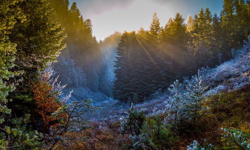 pieniny niedzica noclegi