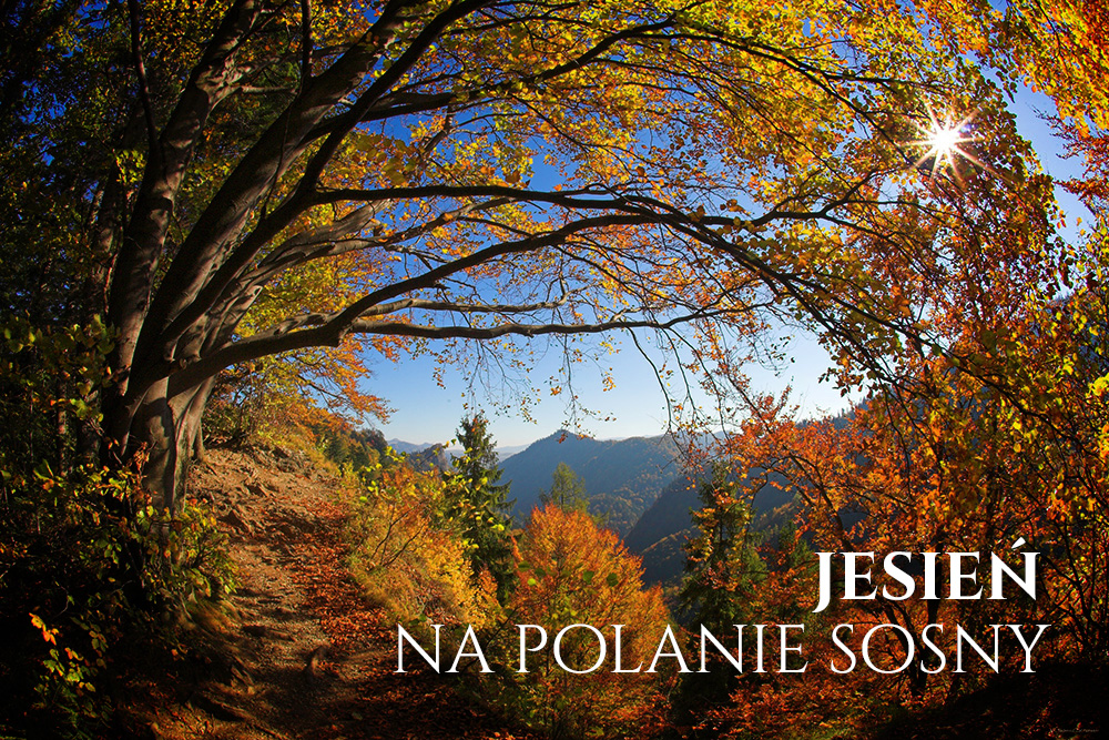 jesień w pieninach